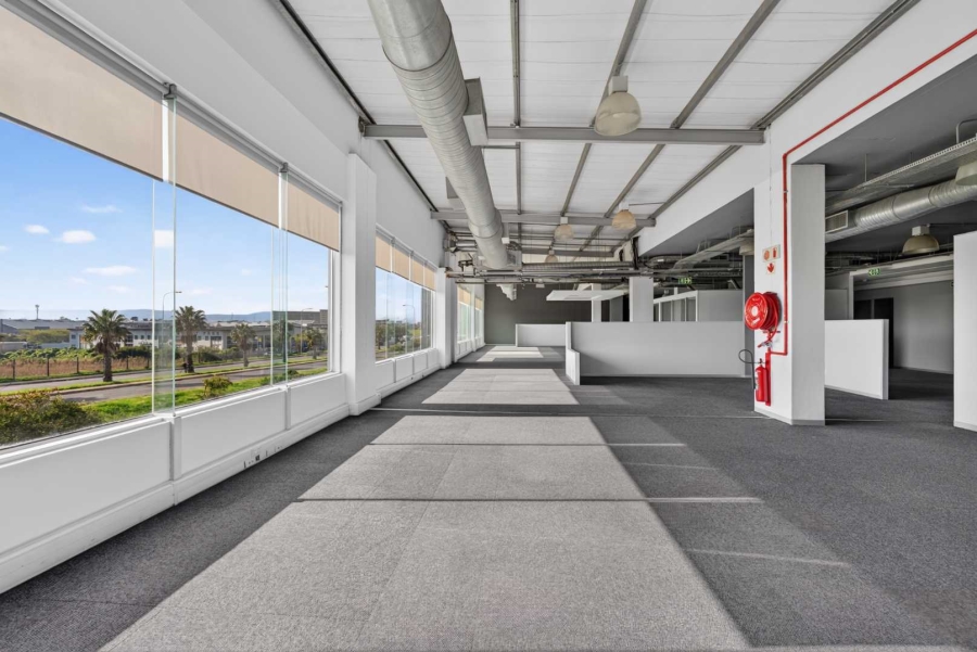 To Let Commercial Property for Rent in Paarden Eiland Western Cape
